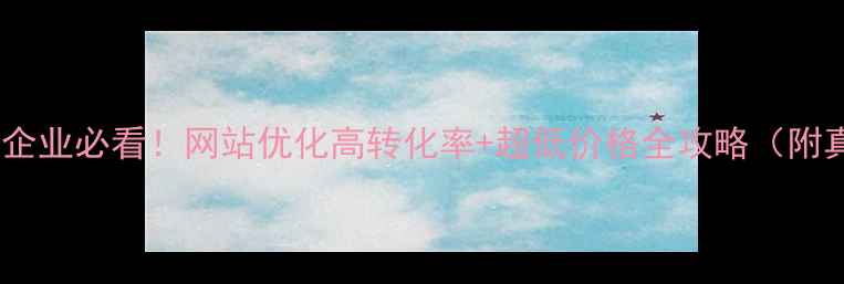 图片 🔥昌乐本地企业必看！网站优化高转化率+超低价格全攻略（附真实案例）1
