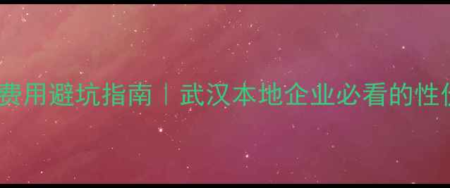 图片 🔥武昌网站快照优化费用避坑指南｜武汉本地企业必看的性价比攻略（附案例）1