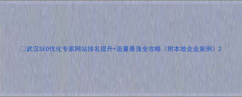 图片 🔥武汉SEO优化专家网站排名提升+流量暴涨全攻略（附本地企业案例）2