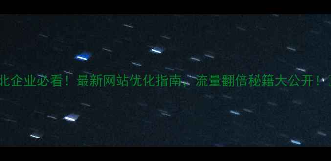 图片 🔥河北企业必看！最新网站优化指南，流量翻倍秘籍大公开！💻🚀2