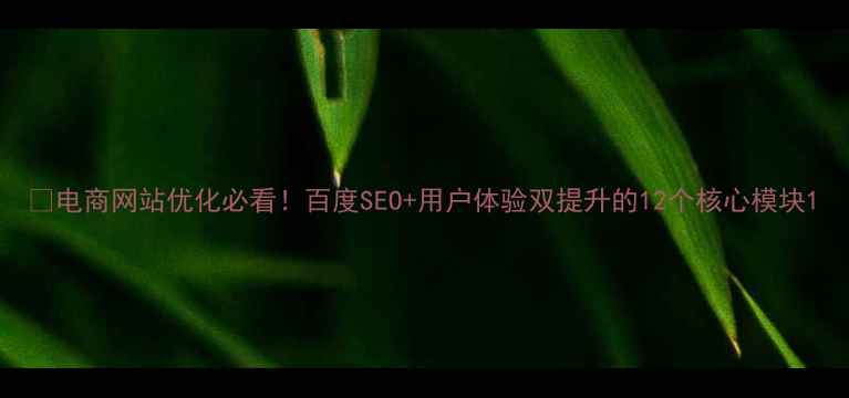 图片 🔥电商网站优化必看！百度SEO+用户体验双提升的12个核心模块1