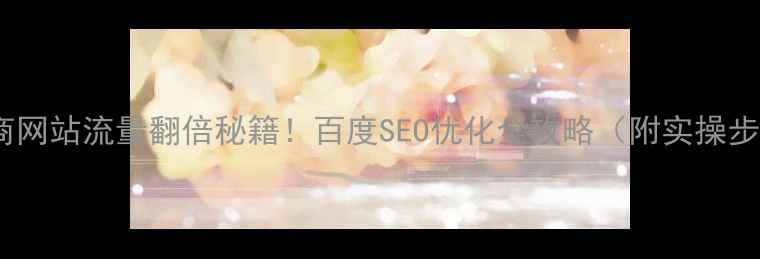 图片 🔥电商网站流量翻倍秘籍！百度SEO优化全攻略（附实操步骤）2