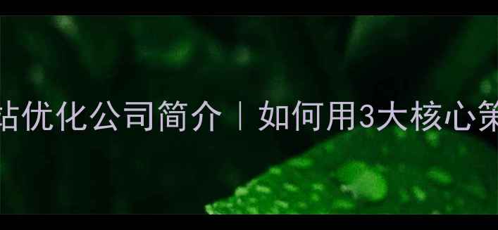 图片 🔥百度SEO优化网站优化公司简介｜如何用3大核心策略让流量翻倍？1