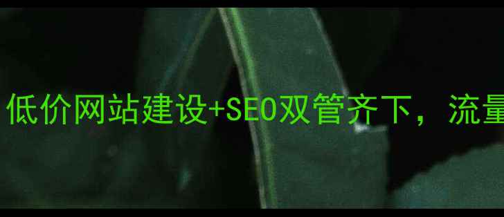 图片 🔥福州品牌优化必看！低价网站建设+SEO双管齐下，流量暴涨秘籍大公开！🔥2