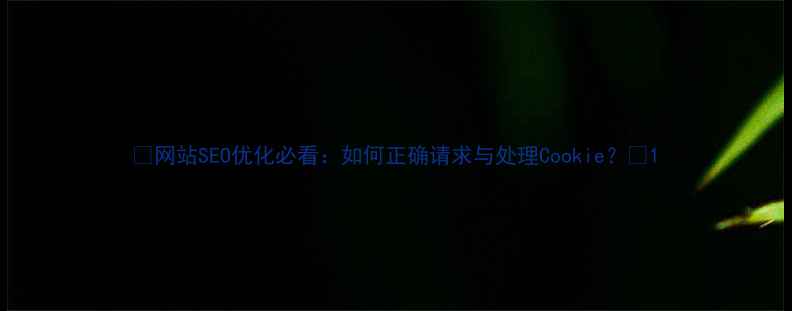 图片 🔥网站SEO优化必看：如何正确请求与处理Cookie？💡1