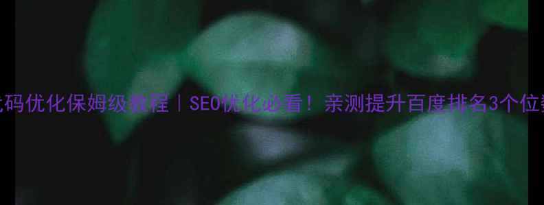 图片 🔥网站代码优化保姆级教程｜SEO优化必看！亲测提升百度排名3个位数的干货