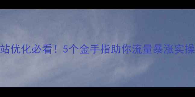 图片 🔥网站优化必看！5个金手指助你流量暴涨实操指南