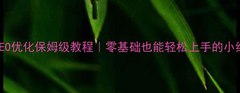 图片 🔥网站建设+SEO优化保姆级教程｜零基础也能轻松上手的小红书爆款攻略2