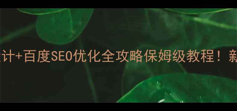 图片 🔥网页控制面板设计+百度SEO优化全攻略保姆级教程！新手也能轻松上手1