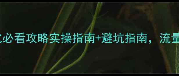 图片 🔥辉县网站SEO优化必看攻略实操指南+避坑指南，流量翻倍秘籍大公开！