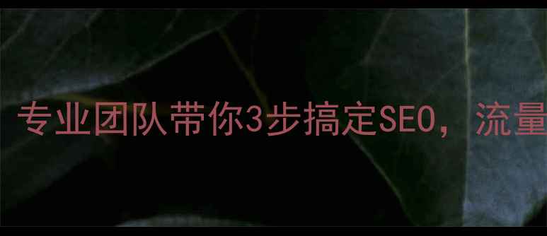 图片 🔥通化网站优化必看！专业团队带你3步搞定SEO，流量暴涨秘籍大公开！🔥2