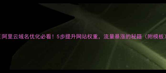 图片 🔥阿里云域名优化必看！5步提升网站权重，流量暴涨的秘籍（附模板）