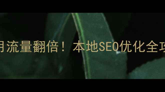 图片 🚀扬州企业网站3个月流量翻倍！本地SEO优化全攻略（附实操案例）2